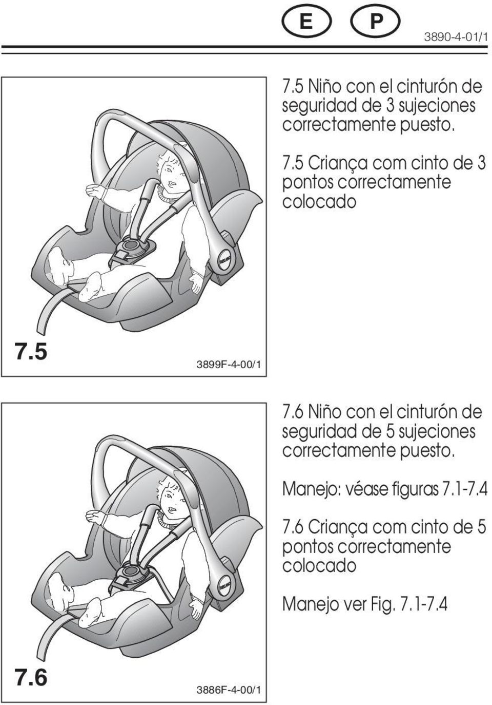 6 Niño con el cinturón de seguridad de 5 sujeciones correctamente puesto.