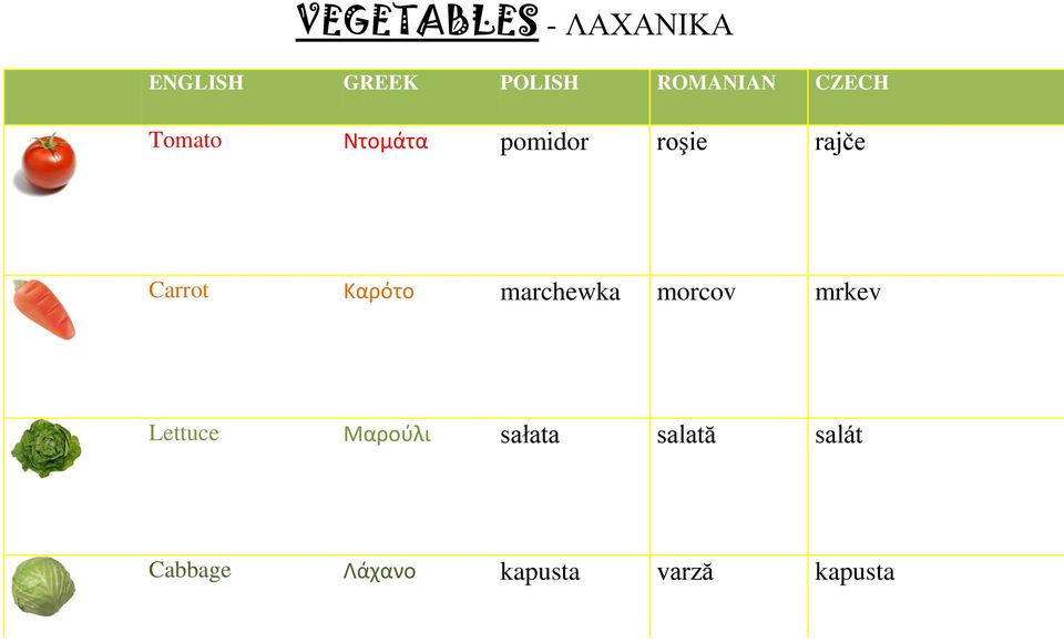 Carrot Καρότο marchewka morcov mrkev Lettuce