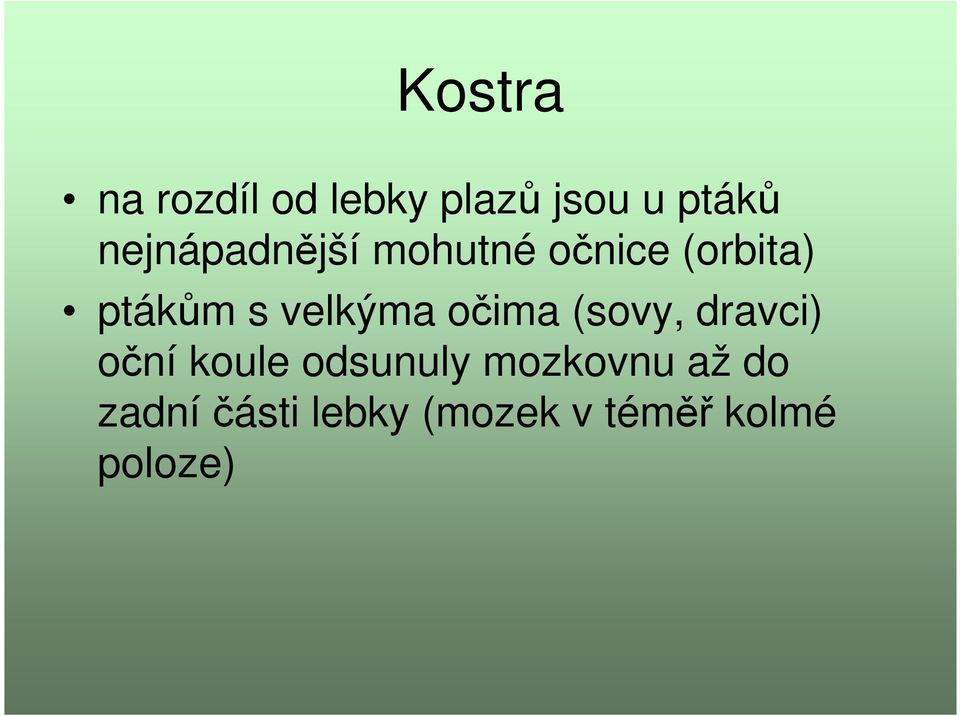 velkýma očima (sovy, dravci) oční koule odsunuly