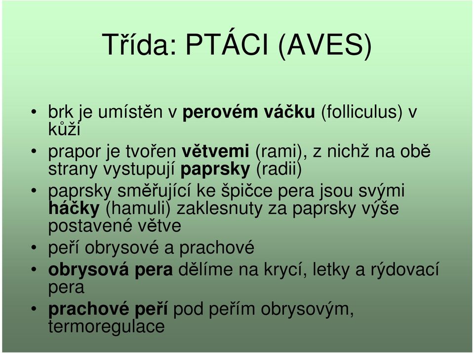 pera jsou svými háčky (hamuli) zaklesnuty za paprsky výše postavené větve peří obrysové a