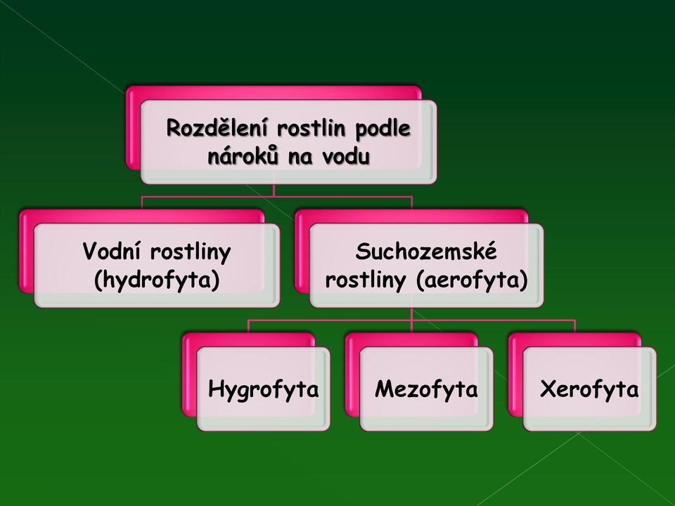 (hydrofyta) Suchozemské