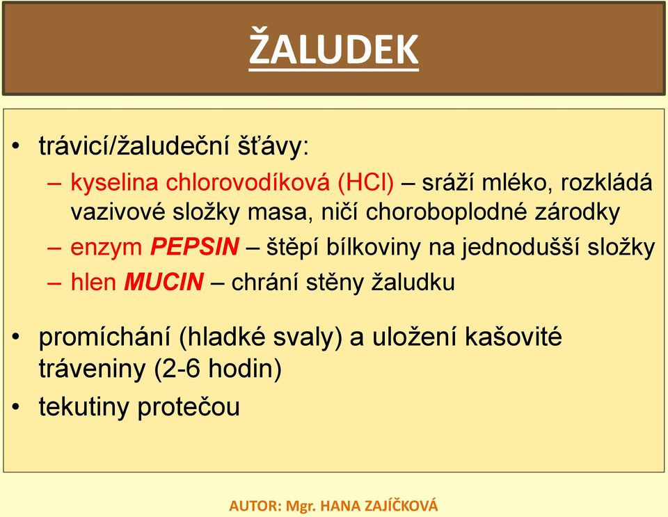 PEPSIN štěpí bílkoviny na jednodušší složky hlen MUCIN chrání stěny