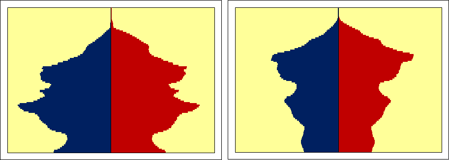 Věková pyramida ČR / prognóza (vlastní) 2009: 2045: 4,8 obyv. v produkt.