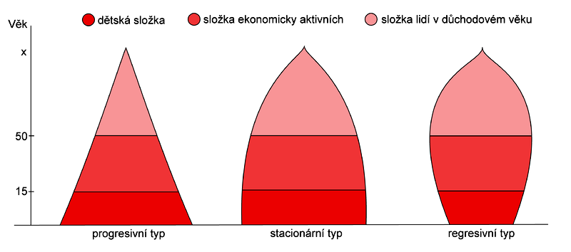 Věková pyramida Složka Progresivní Stacionární Regresivní dětská 40