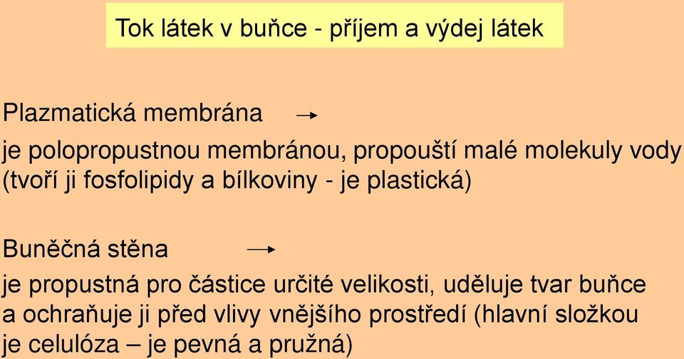 plastická) Buněčná stěna je propustná pro částice určité velikosti, uděluje tvar