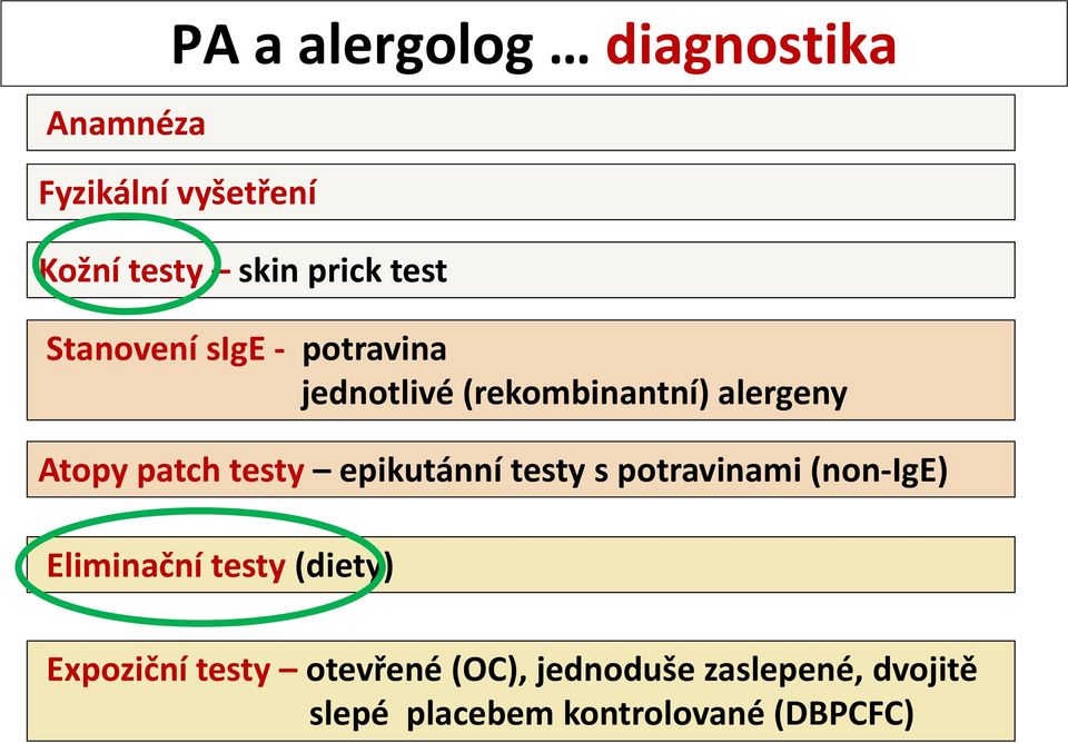 testy epikutánní testy s potravinami (non IgE) Eliminační testy (diety) Expoziční