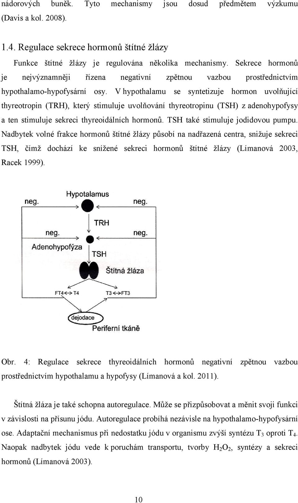 V hypothalamu se syntetizuje hormon uvolňující thyreotropin (TRH), který stimuluje uvolňování thyreotropinu (TSH) z adenohypofysy a ten stimuluje sekreci thyreoidálních hormonů.