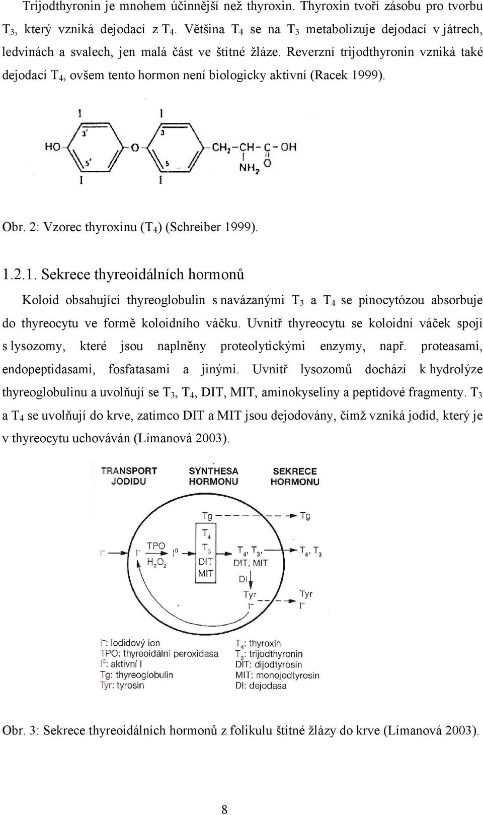 Reverzní trijodthyronin vzniká také dejodací T 4, ovšem tento hormon není biologicky aktivní (Racek 19