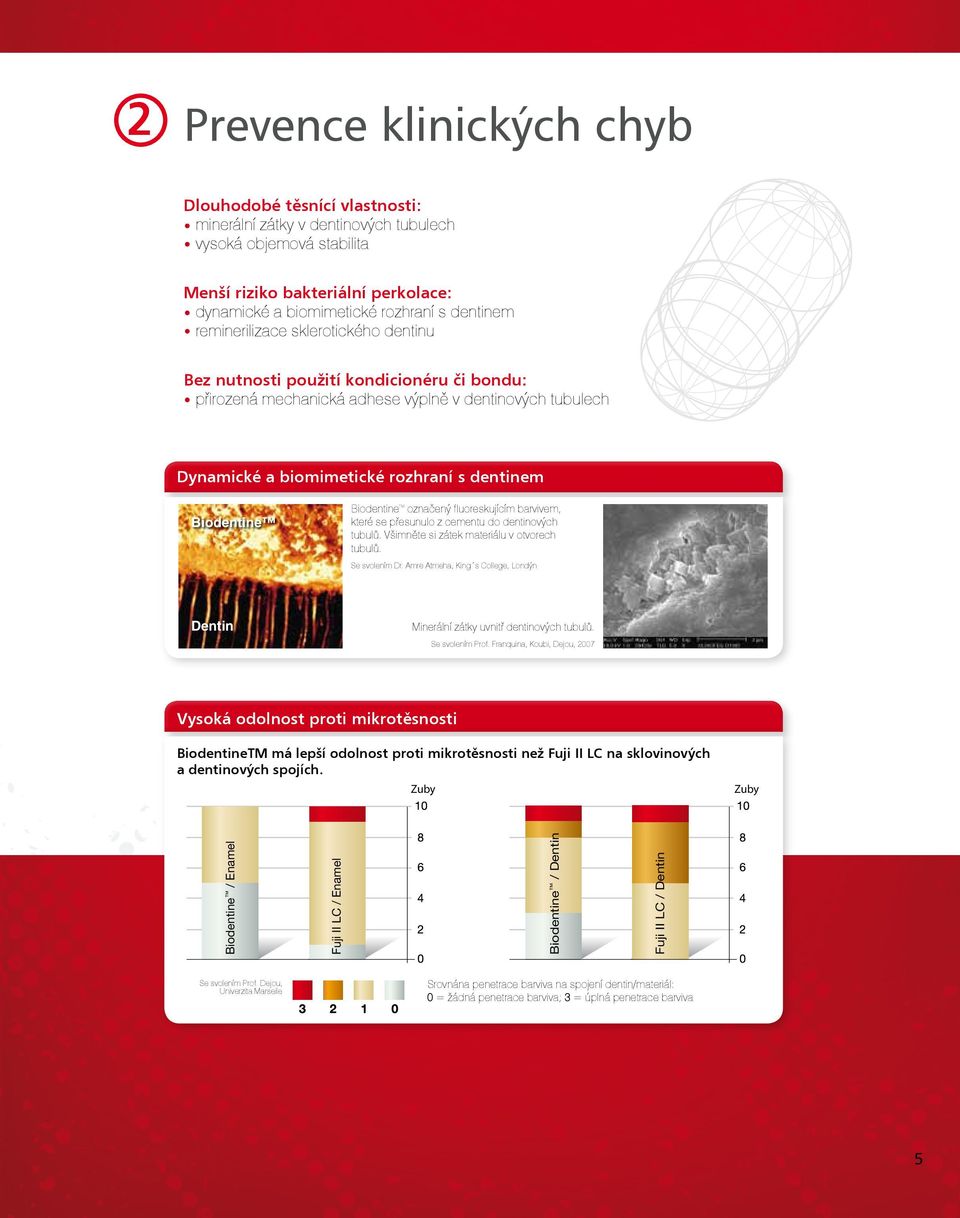 Biodentine Biodentine označený fluoreskujícím barvivem, které se přesunulo z cementu do dentinových tubulů. Všimněte si zátek materiálu v otvorech tubulů. Se svolením Dr.