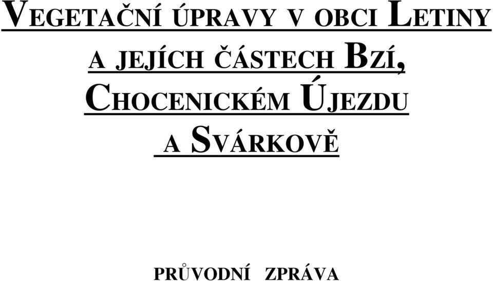 BZÍ, CHOCENICKÉM ÚJEZDU