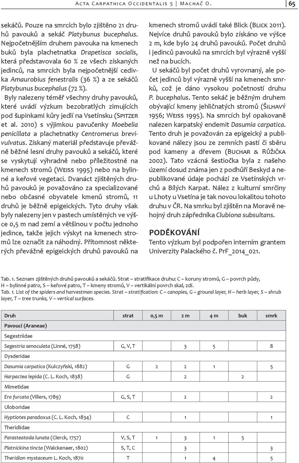 (36 %) a ze sekáčů Platybunus bucephalus (72 %). Byly nalezeny téměř všechny druhy pavouků, které uvádí výzkum bezobratlých zimujících pod šupinkami kůry jedlí na Vsetínsku (Spitzer et al.