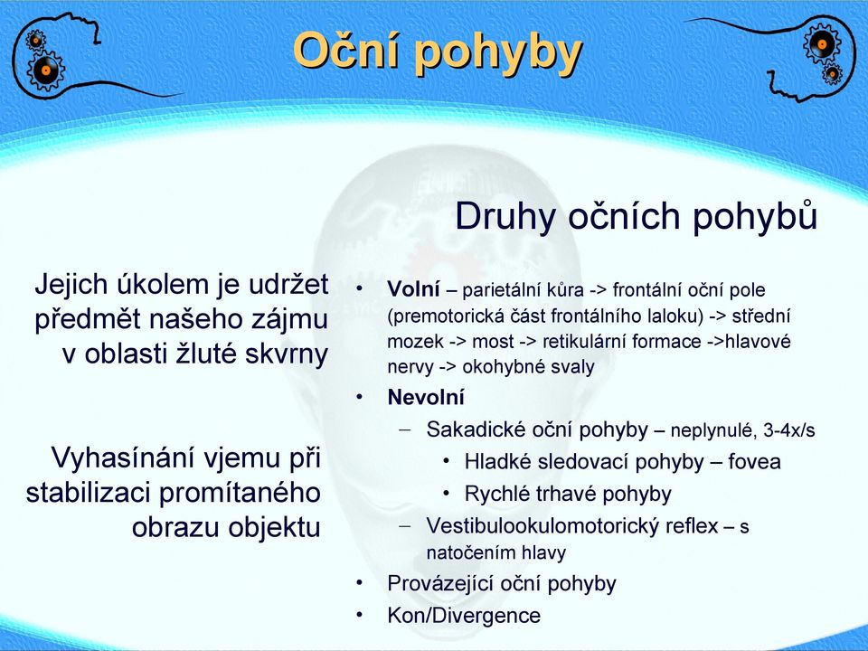 okohybné svaly Vyhasínání vjemu při stabilizaci promítaného obrazu objektu Nevolní Sakadické oční pohyby neplynulé, 3-4x/s