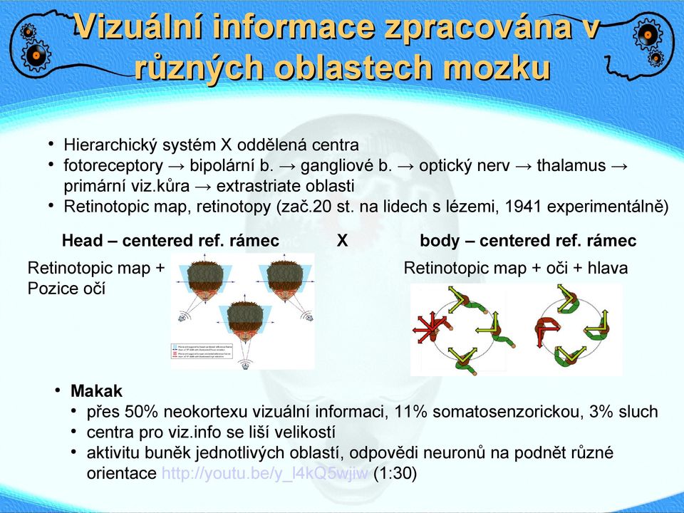 na lidech s lézemi, 1941 experimentálně) Head centered ref. rámec Retinotopic map + Pozice očí X body centered ref.