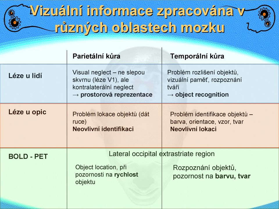 kůra Problém rozlišení objektů, vizuální paměť, rozpoznání tváří object recognition Problém identifikace objektů barva, orientace, vzor,