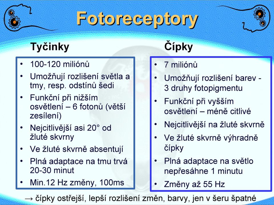 adaptace na tmu trvá 20-30 minut Min.