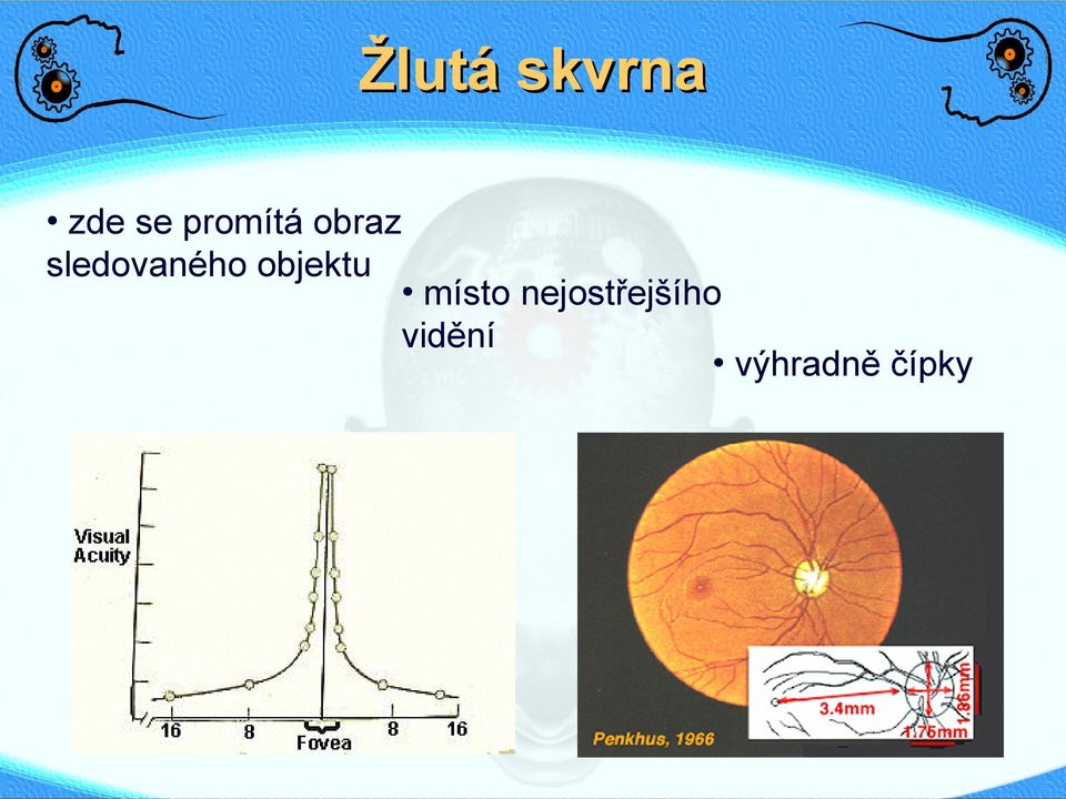 sledovaného objektu