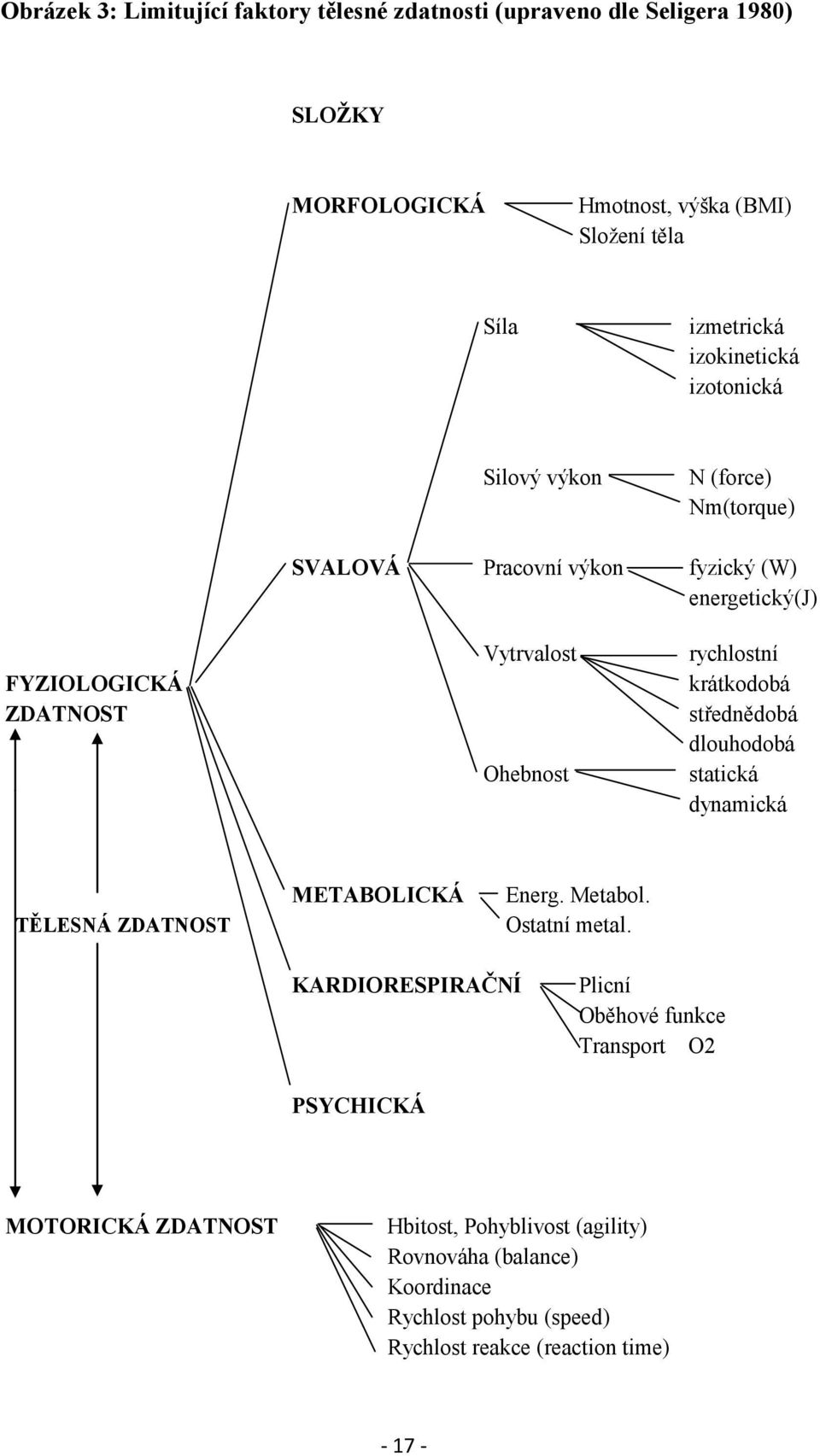 rychlostní krátkodobá střednědobá dlouhodobá statická dynamická METABOLICKÁ Energ. Metabol. TĚLESNÁ ZDATNOST Ostatní metal.