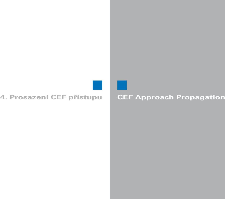 CEF Approach