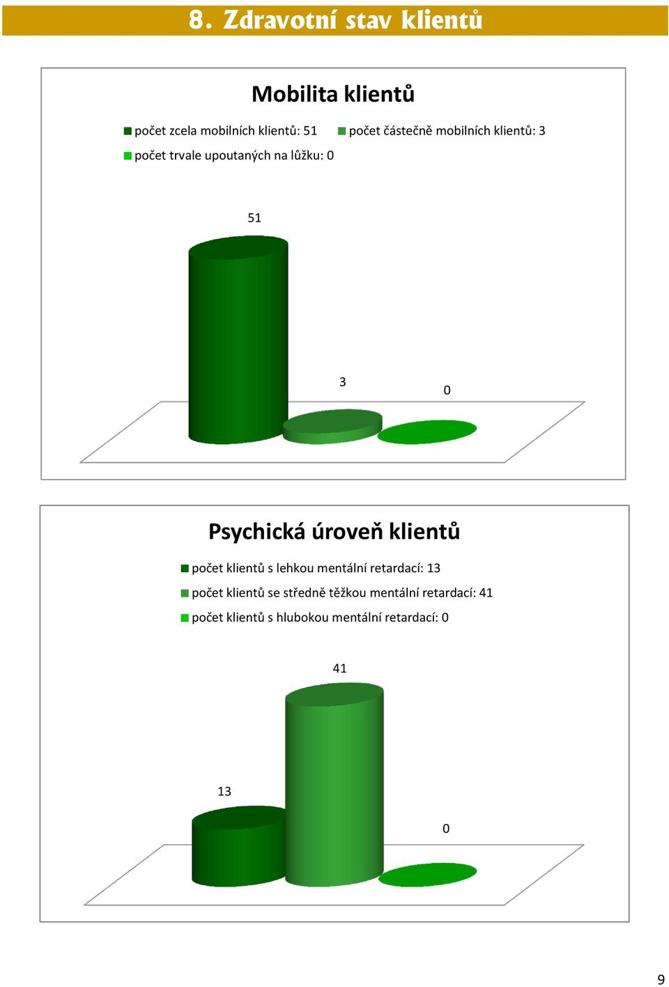 úroveň klientů počet klientů s lehkou mentální retardací: 13 počet klientů se