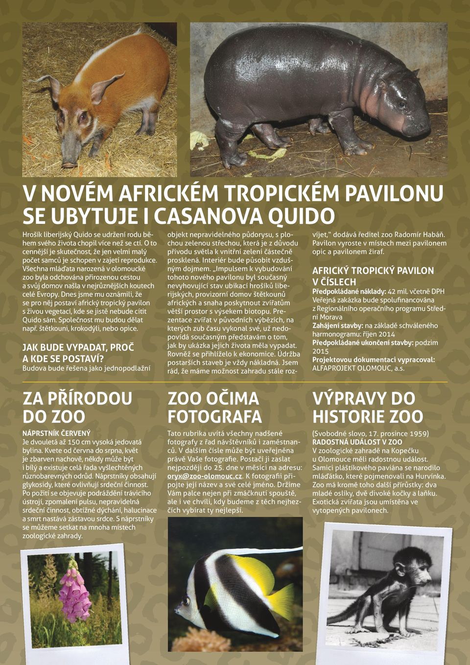 Všechna mláďata narozená v olomoucké zoo byla odchována přirozenou cestou a svůj domov našla v nejrůznějších koutech celé Evropy.