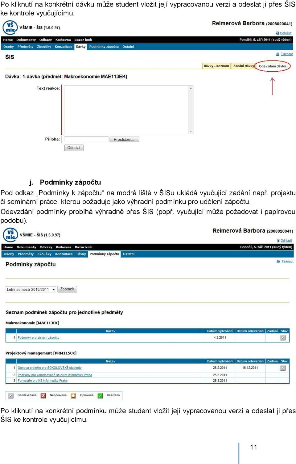 projektu či seminární práce, kterou poţaduje jako výhradní podmínku pro udělení zápočtu.