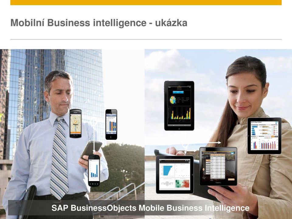 Mobile Business Intelligence