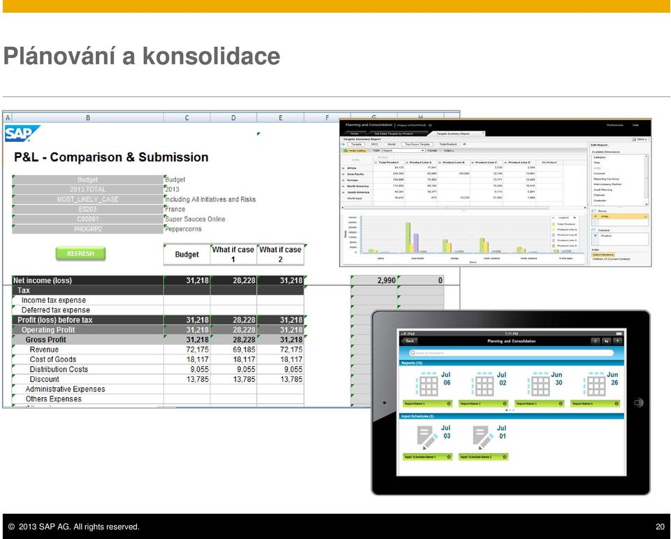 2013 SAP AG.