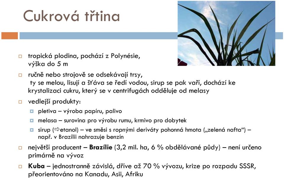 krmivo pro dobytek sirup (etanol) ve směsi s ropnými deriváty pohonná hmota ( zelená nafta ) např. v Brazílii nahrazuje benzín největší producent Brazílie (3,2 mil.