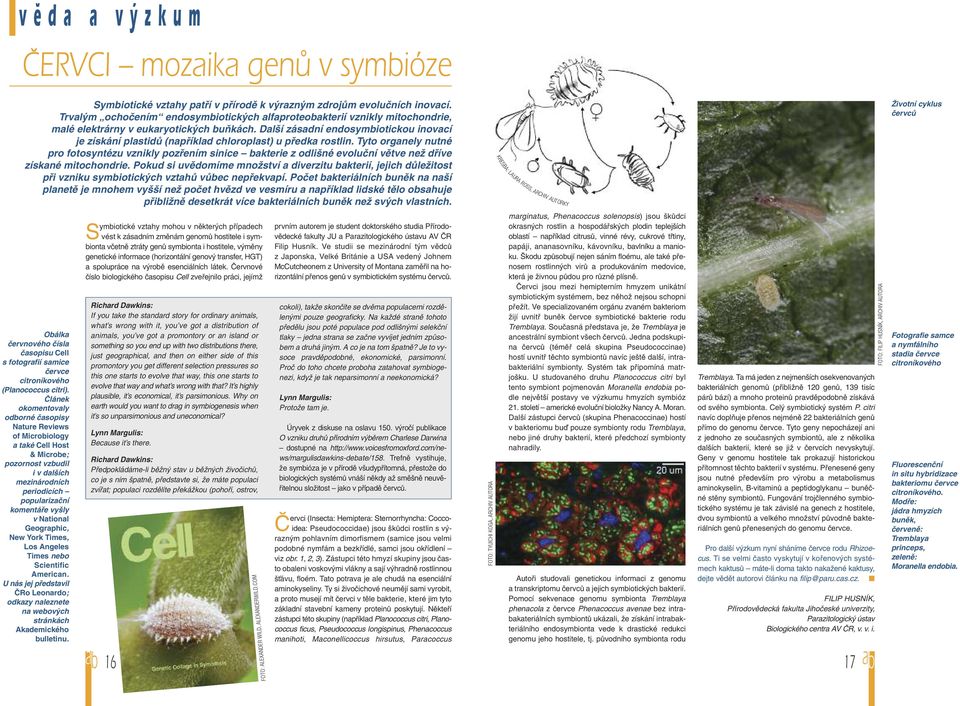 Další zásadní endosymbiotickou inovací je získání plastidů (například chloroplast) u předka rostlin.