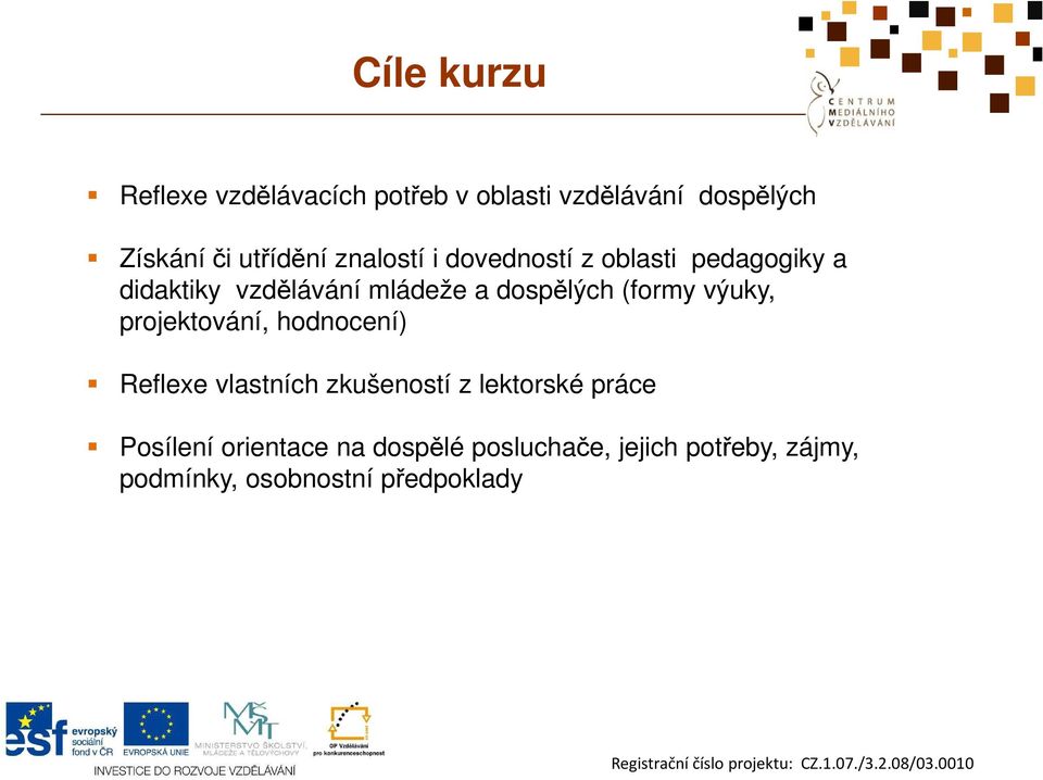 (formy výuky, projektování, hodnocení) Reflexe vlastních zkušeností z lektorské práce