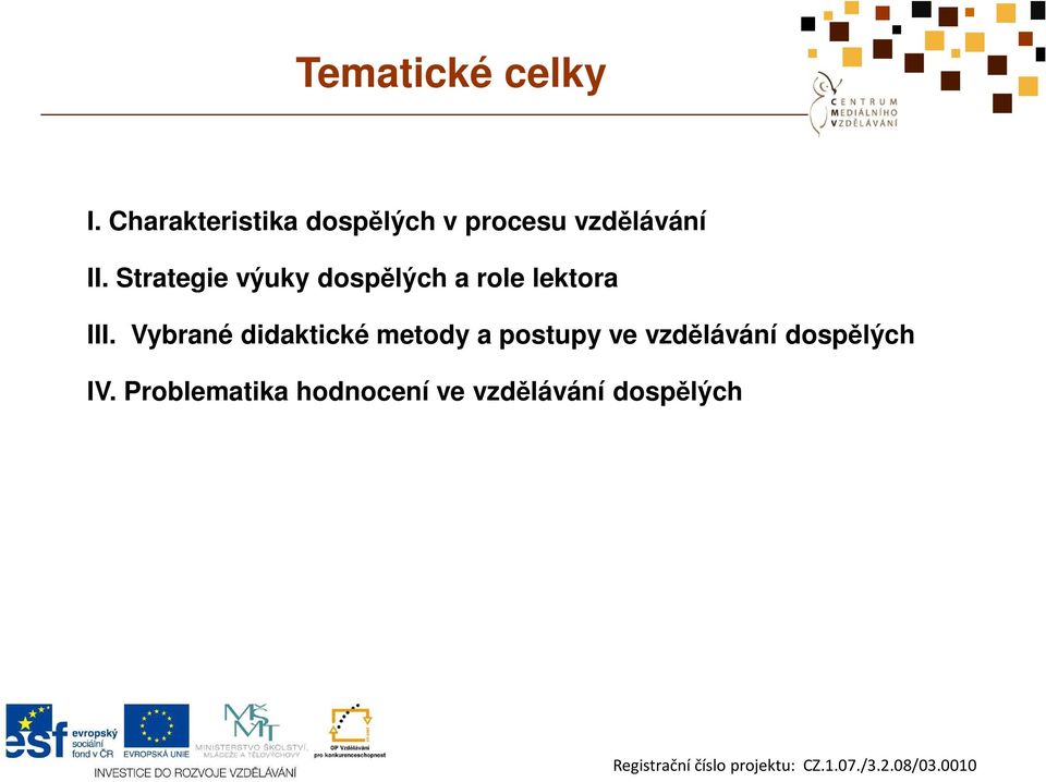 Strategie výuky dospělých a role lektora III.