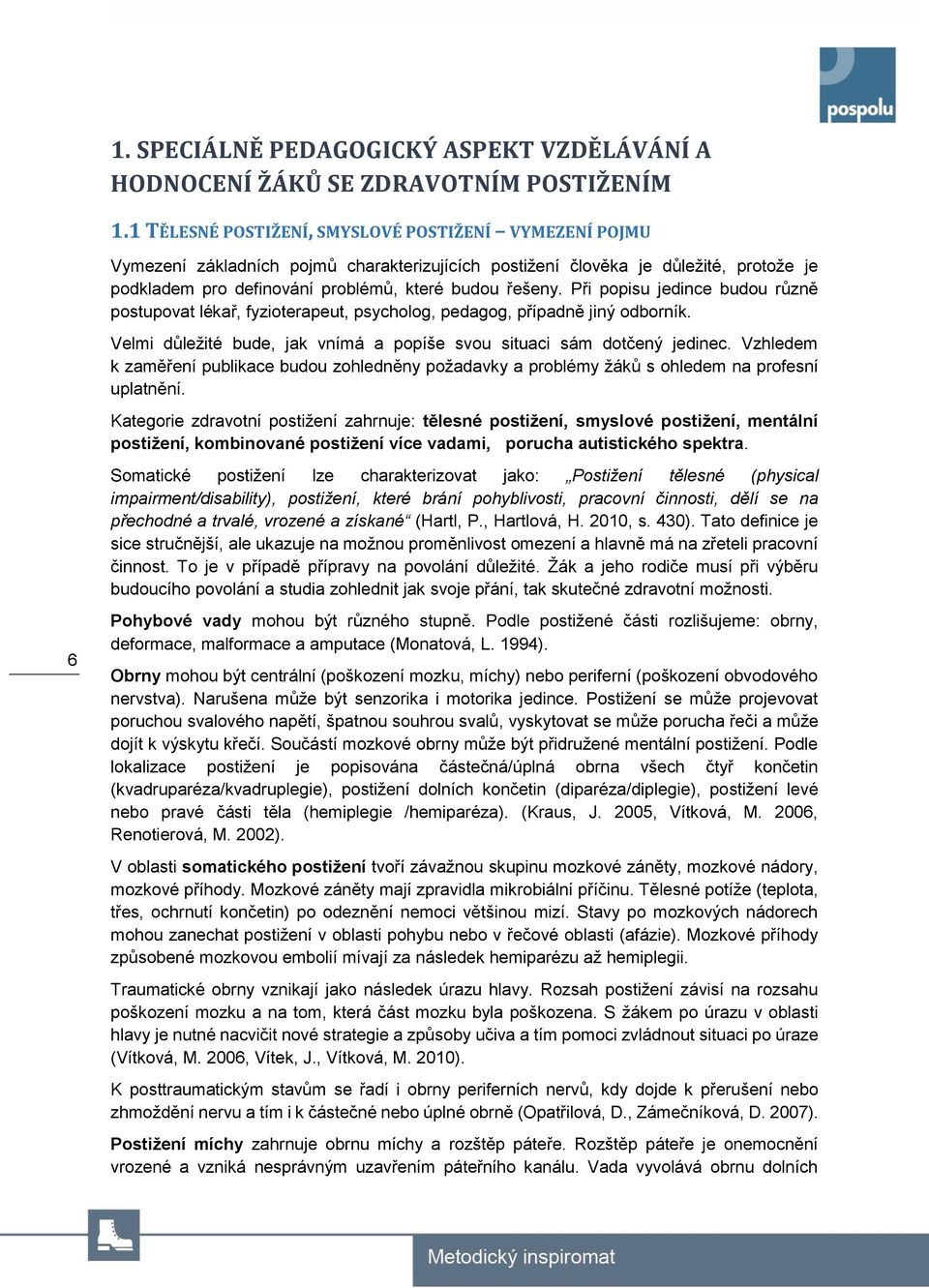 Při popisu jedince budou různě postupovat lékař, fyzioterapeut, psycholog, pedagog, případně jiný odborník. Velmi důležité bude, jak vnímá a popíše svou situaci sám dotčený jedinec.