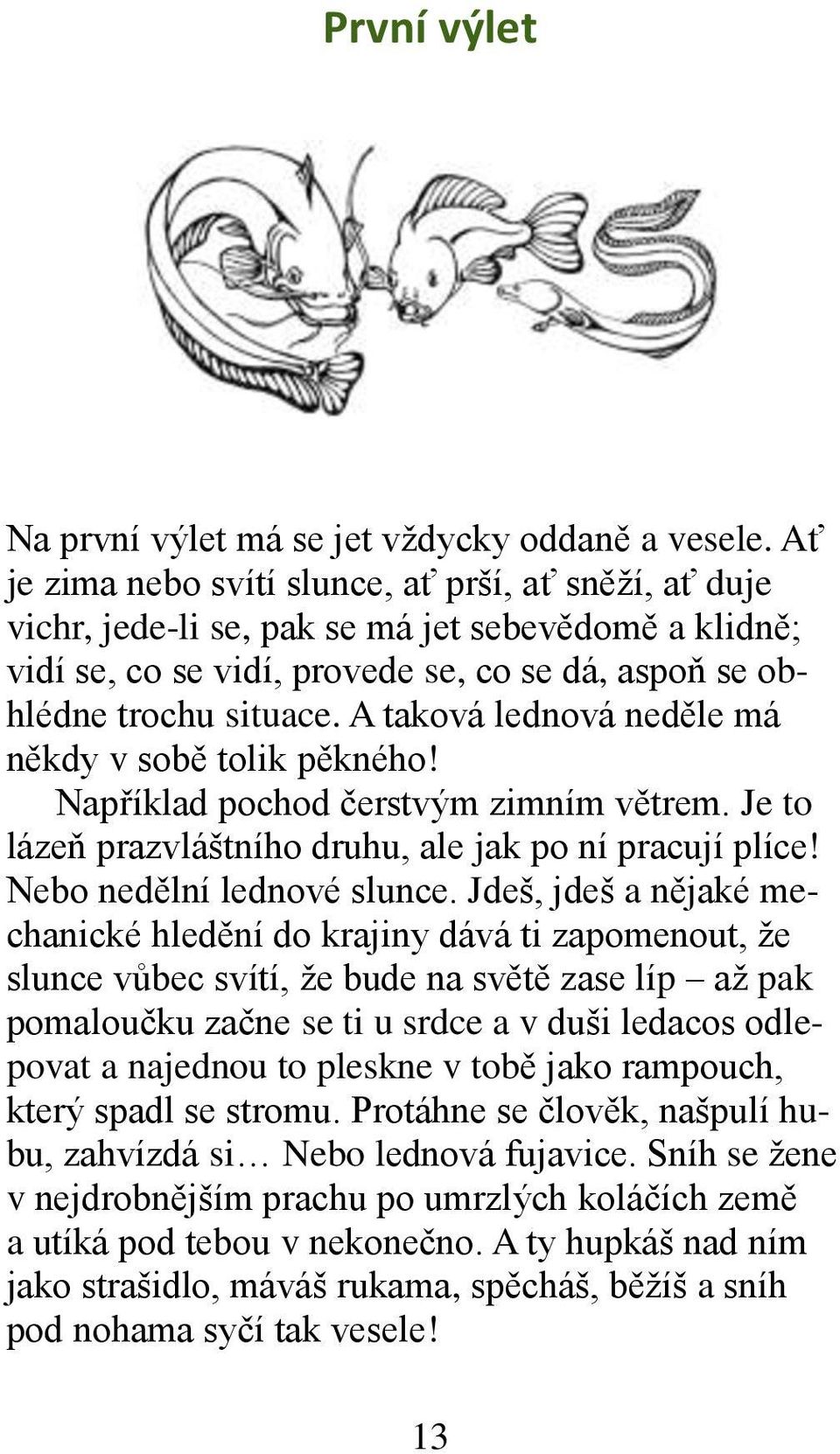 A taková lednová neděle má někdy v sobě tolik pěkného! Například pochod čerstvým zimním větrem. Je to lázeň prazvláštního druhu, ale jak po ní pracují plíce! Nebo nedělní lednové slunce.