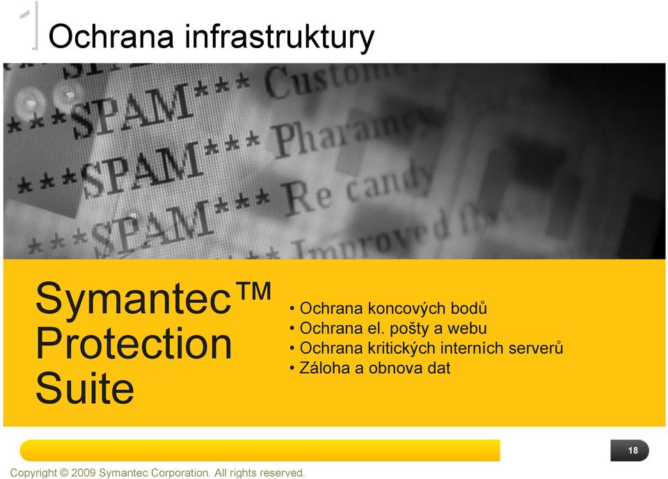 1 Ochrana infrastruktury Symantec Protection Suite