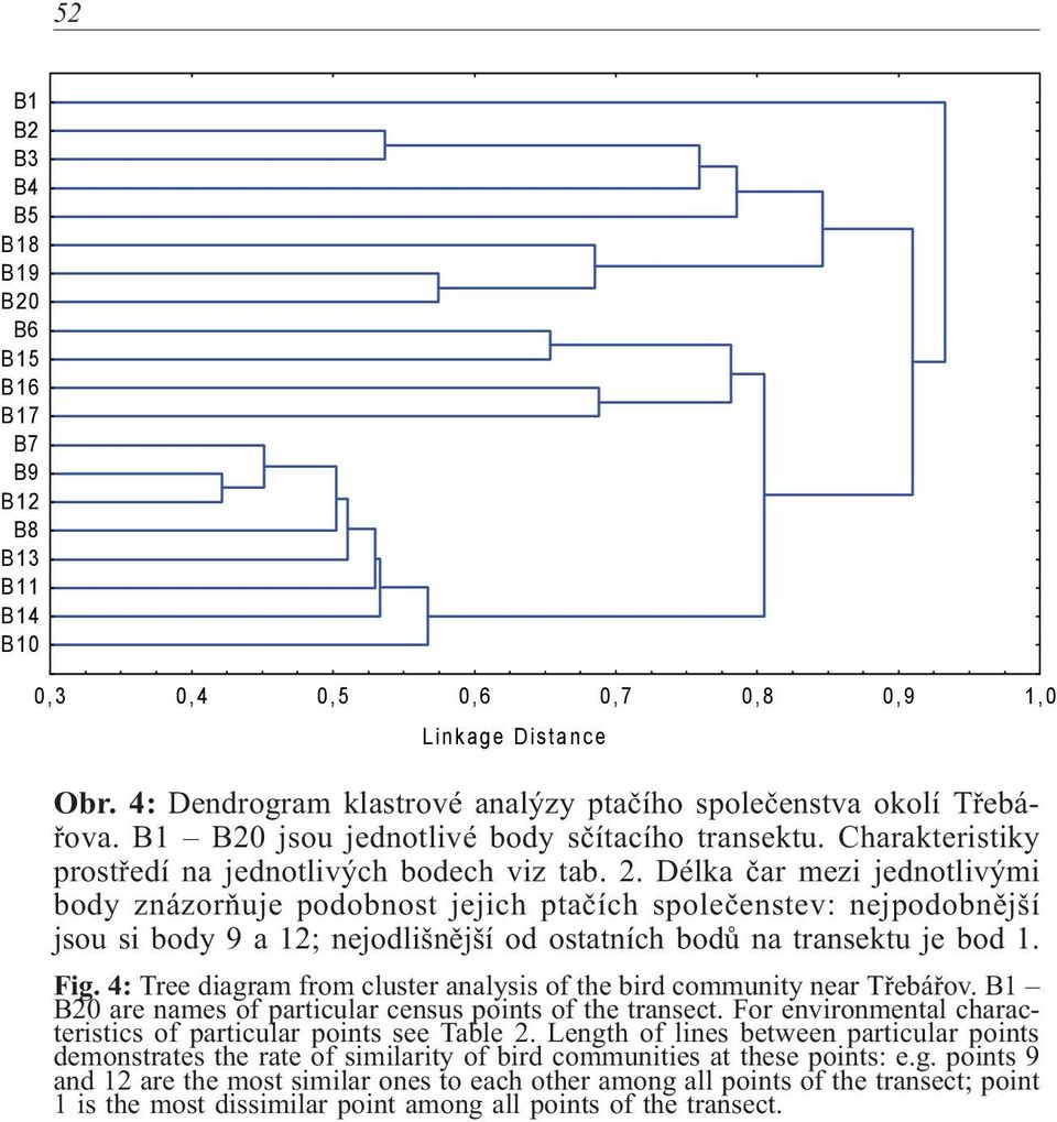 Délka èar mezi jednotlivými body znázoròuje podobnost jejich ptaèích spoleèenstev: nejpodobnìjší jsou si body 9 a 12; nejodlišnìjší od ostatních bodù na transektu je bod 1. Fig.