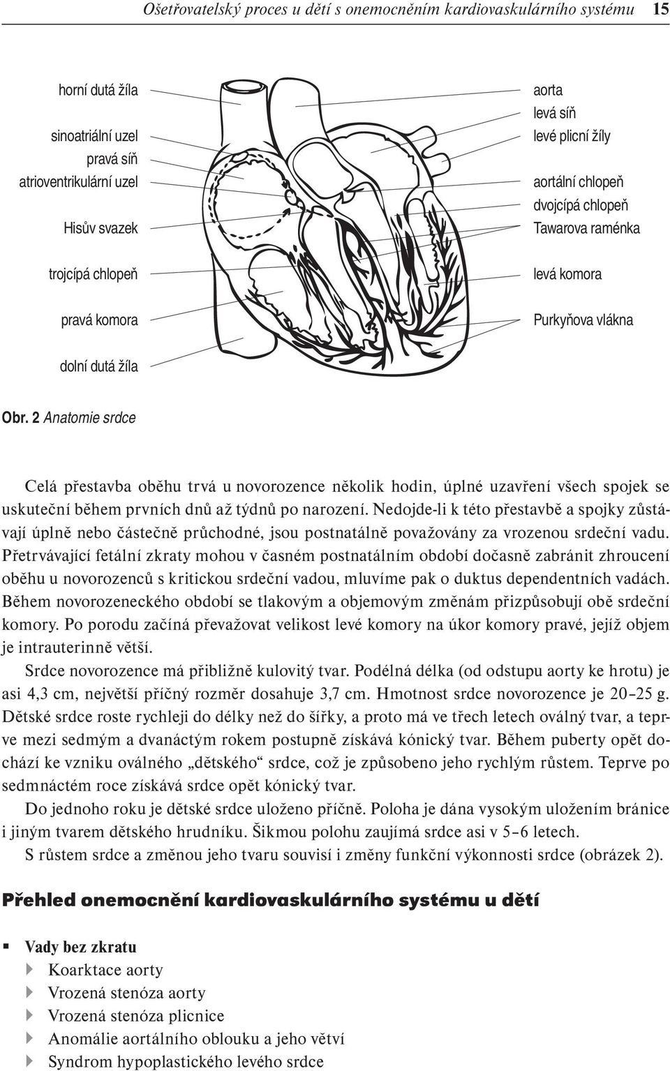 2 Anatomie srdce Celá přestavba oběhu trvá u novorozence několik hodin, úplné uzavření všech spojek se uskuteční během prvních dnů až týdnů po narození.