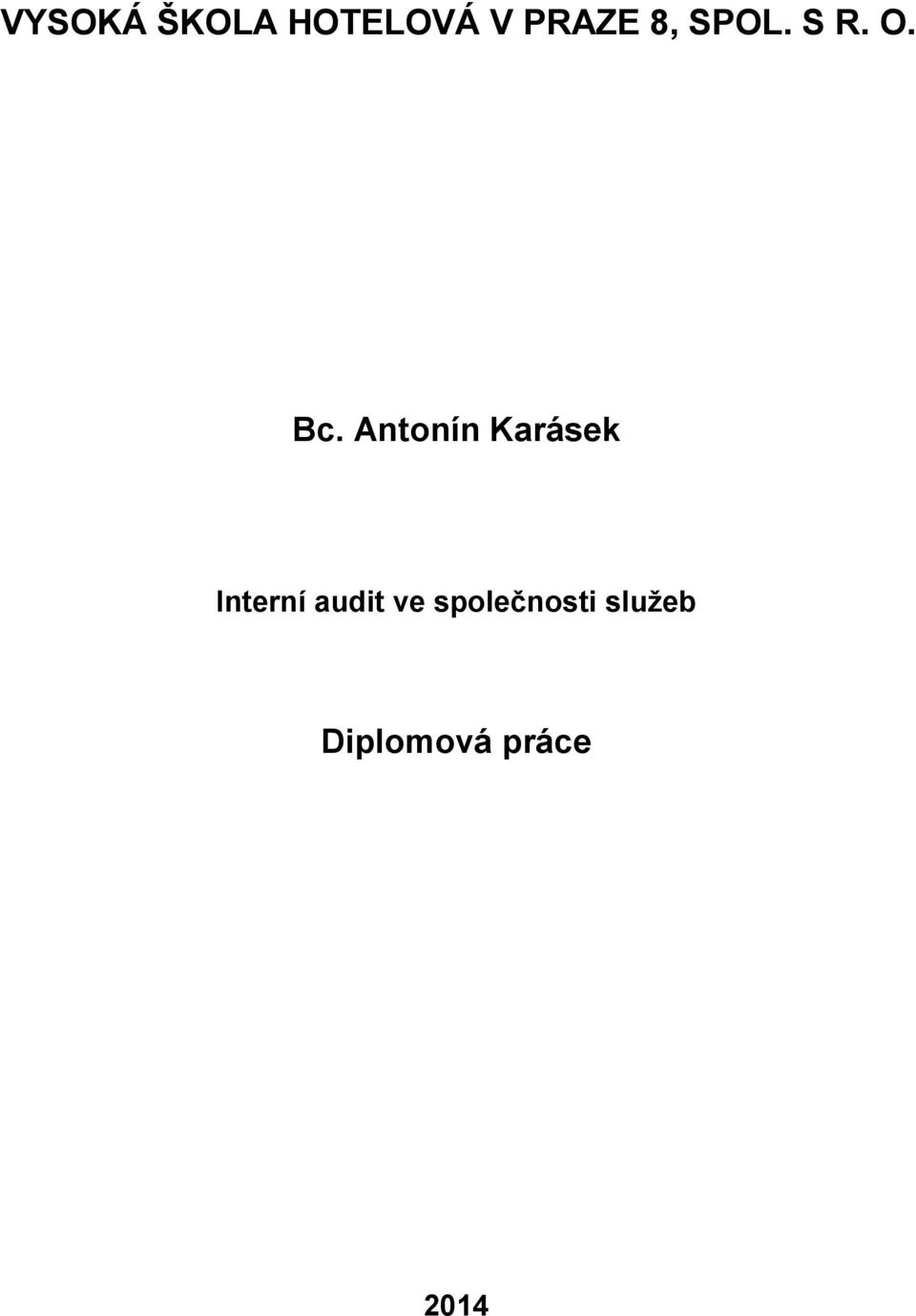 Antonín Karásek Interní audit