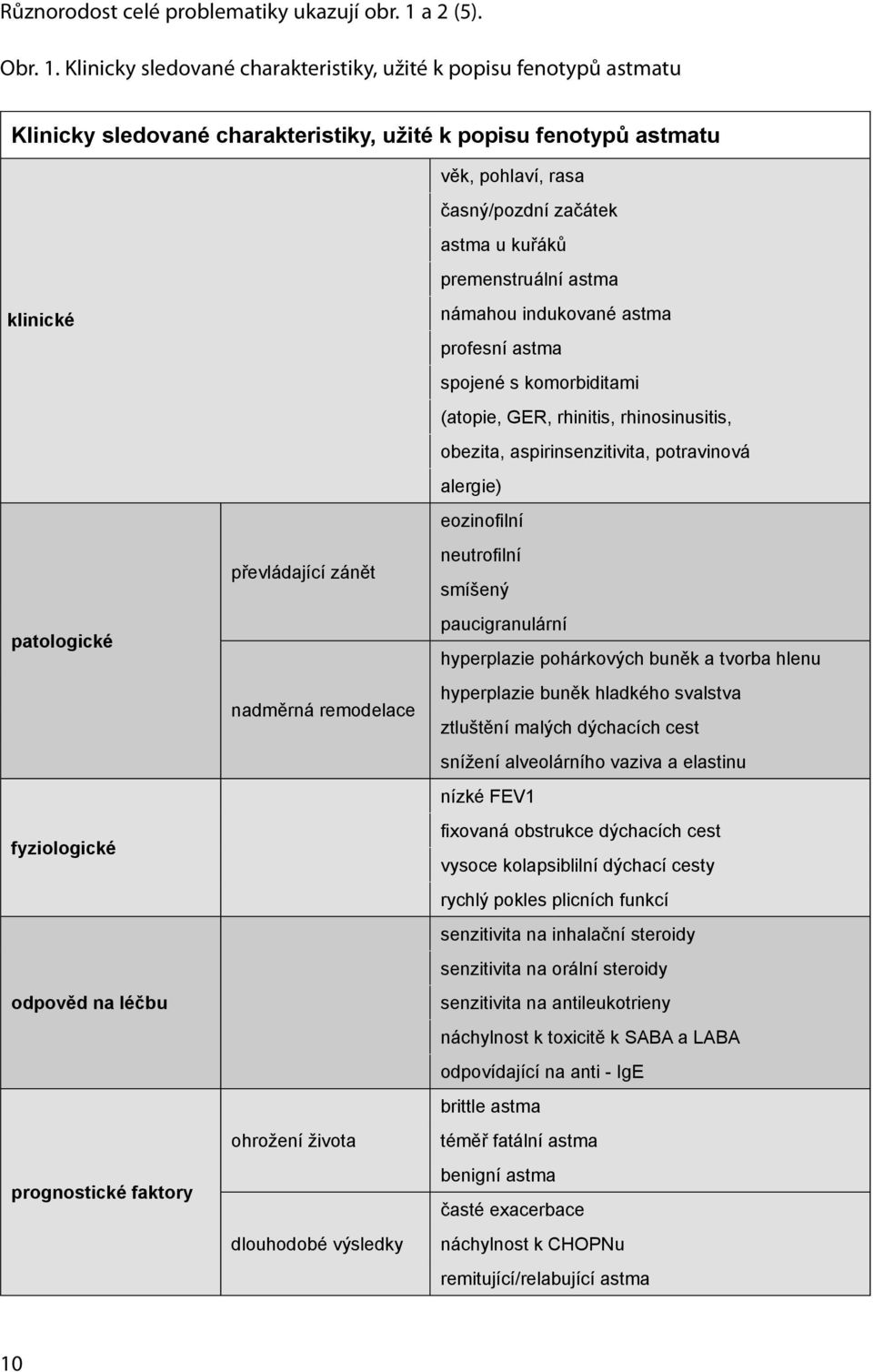 Klinicky sledované charakteristiky, užité k popisu fenotypů astmatu Klinicky sledované charakteristiky, užité k popisu fenotypů astmatu věk, pohlaví, rasa časný/pozdní začátek astma u kuřáků