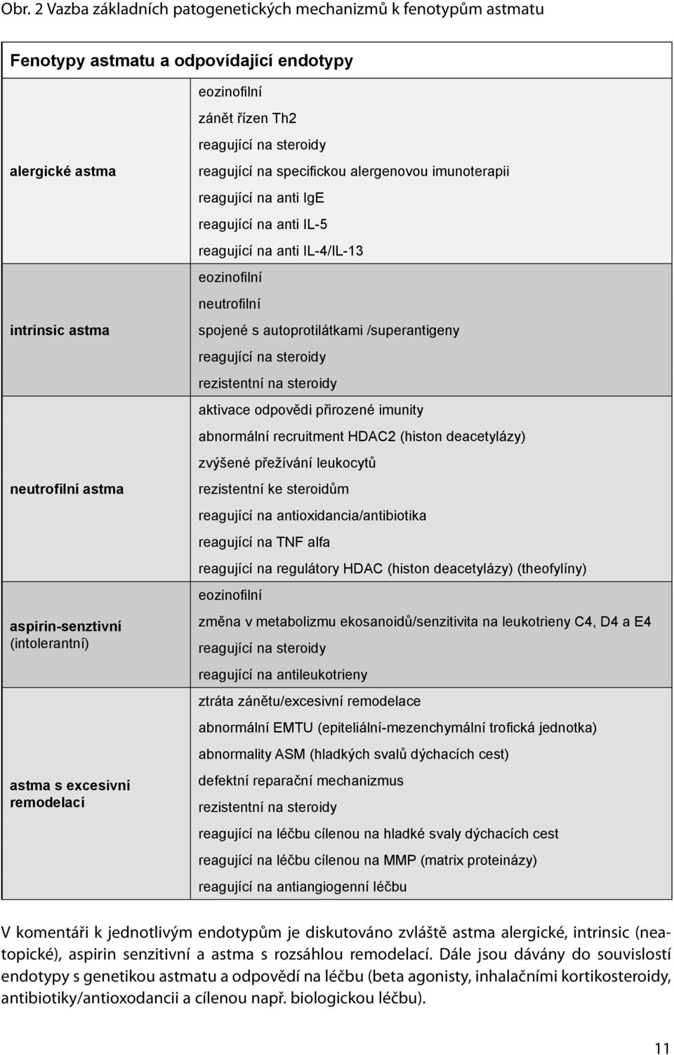 IL-4/IL-13 eozinofilní neutrofilní spojené s autoprotilátkami /superantigeny reagující na steroidy rezistentní na steroidy aktivace odpovědi přirozené imunity abnormální recruitment HDAC2 (histon