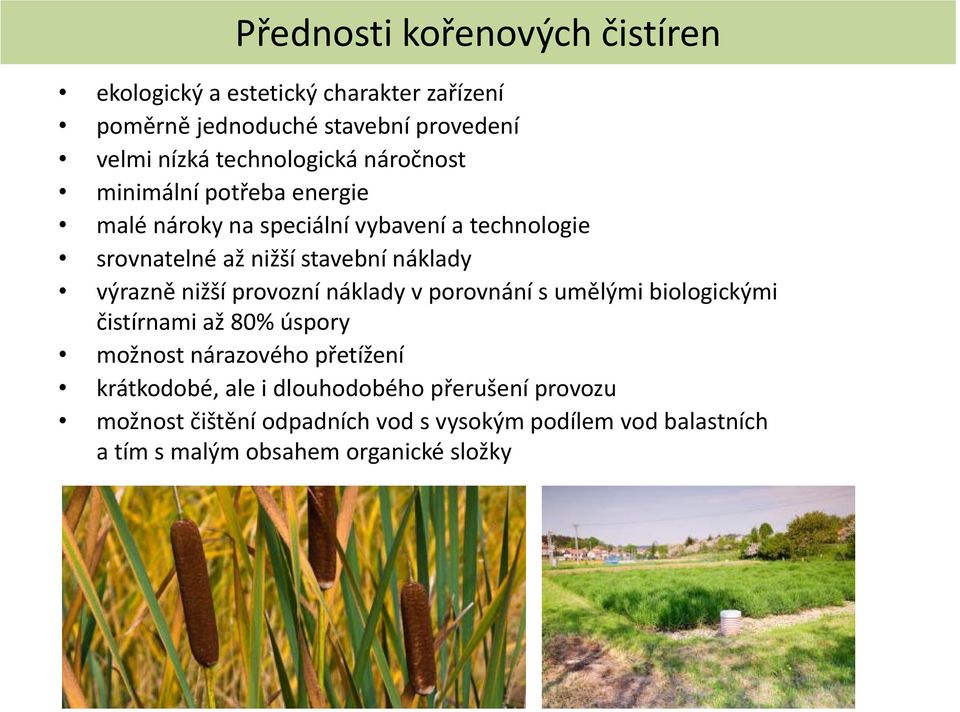 náklady výrazně nižší provozní náklady v porovnání s umělými biologickými čistírnami až 80% úspory možnost nárazového přetížení