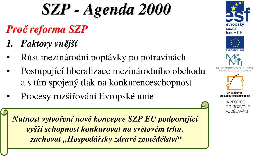 mezinárodního obchodu a s tím spojený tlak na konkurenceschopnost Procesy rozšiřování