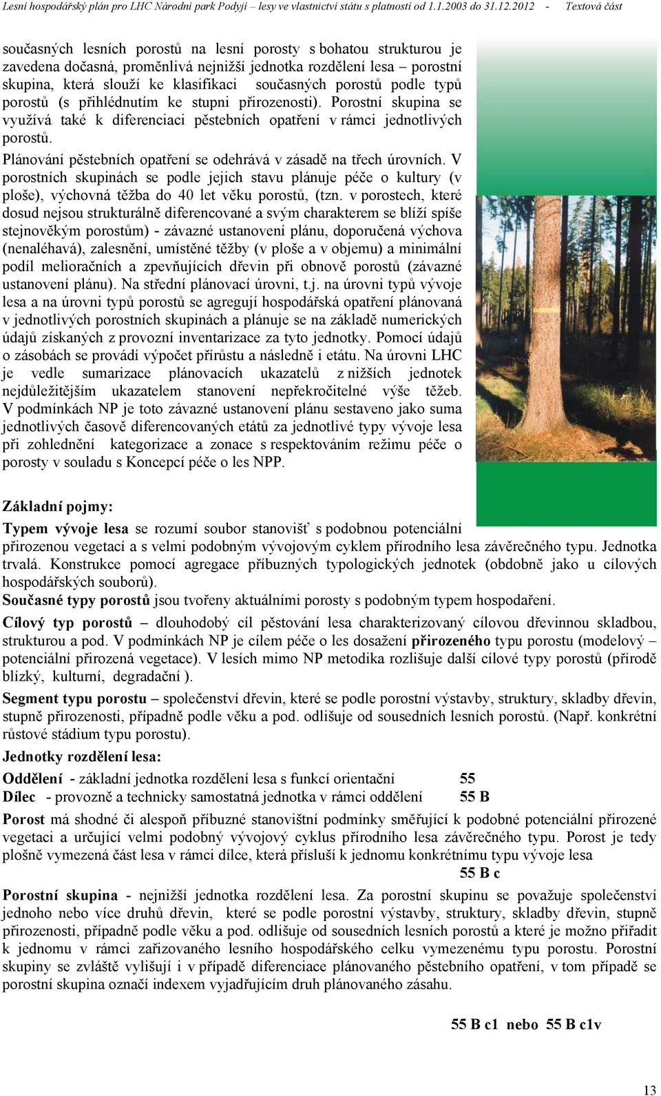 Plánování pěstebních opatření se odehrává v zásadě na třech úrovních. V porostních skupinách se podle jejich stavu plánuje péče o kultury (v ploše), výchovná těžba do 4 let věku porostů, (tzn.