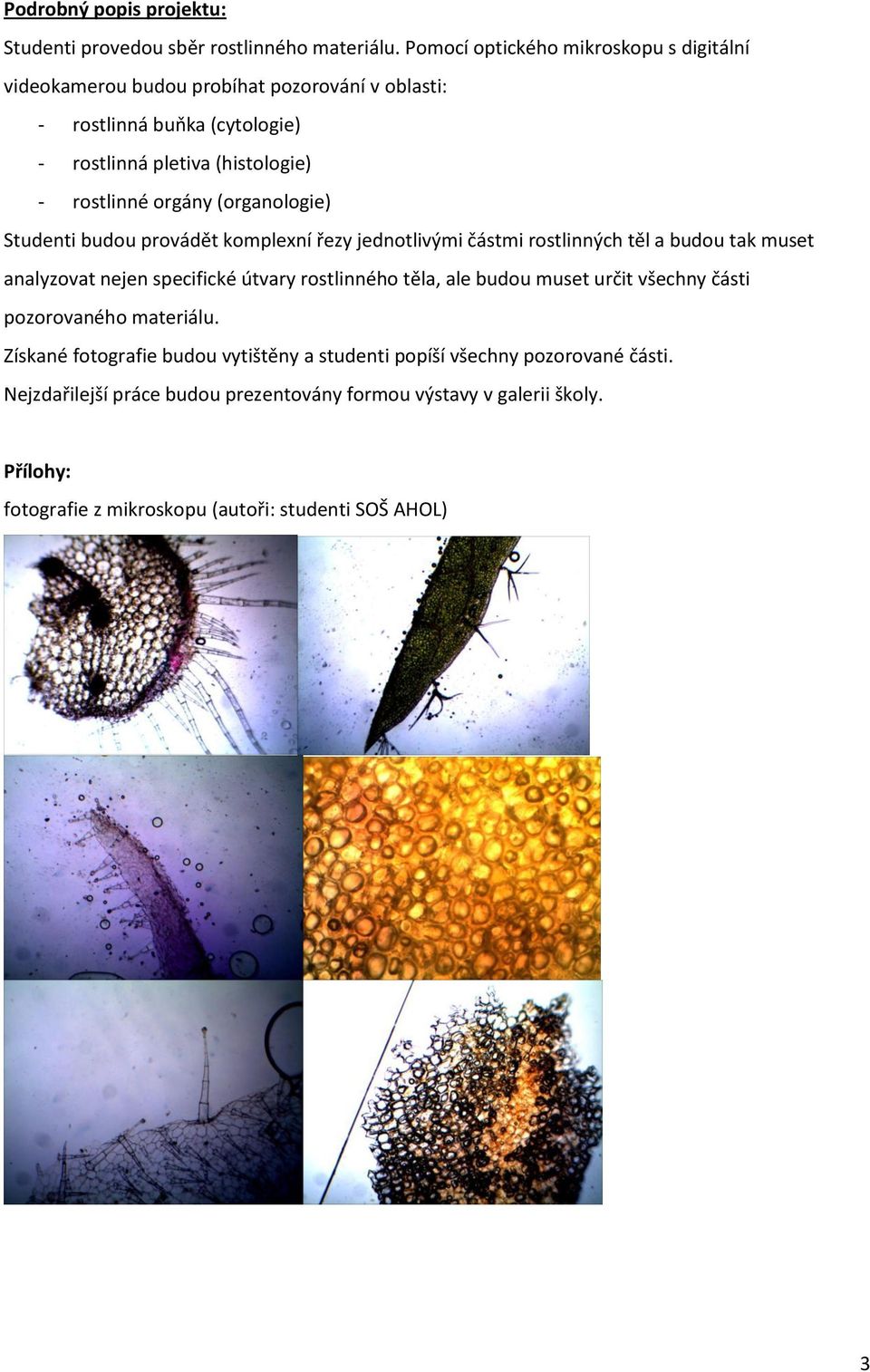 orgány (organologie) Studenti budou provádět komplexní řezy jednotlivými částmi rostlinných těl a budou tak muset analyzovat nejen specifické útvary rostlinného těla,