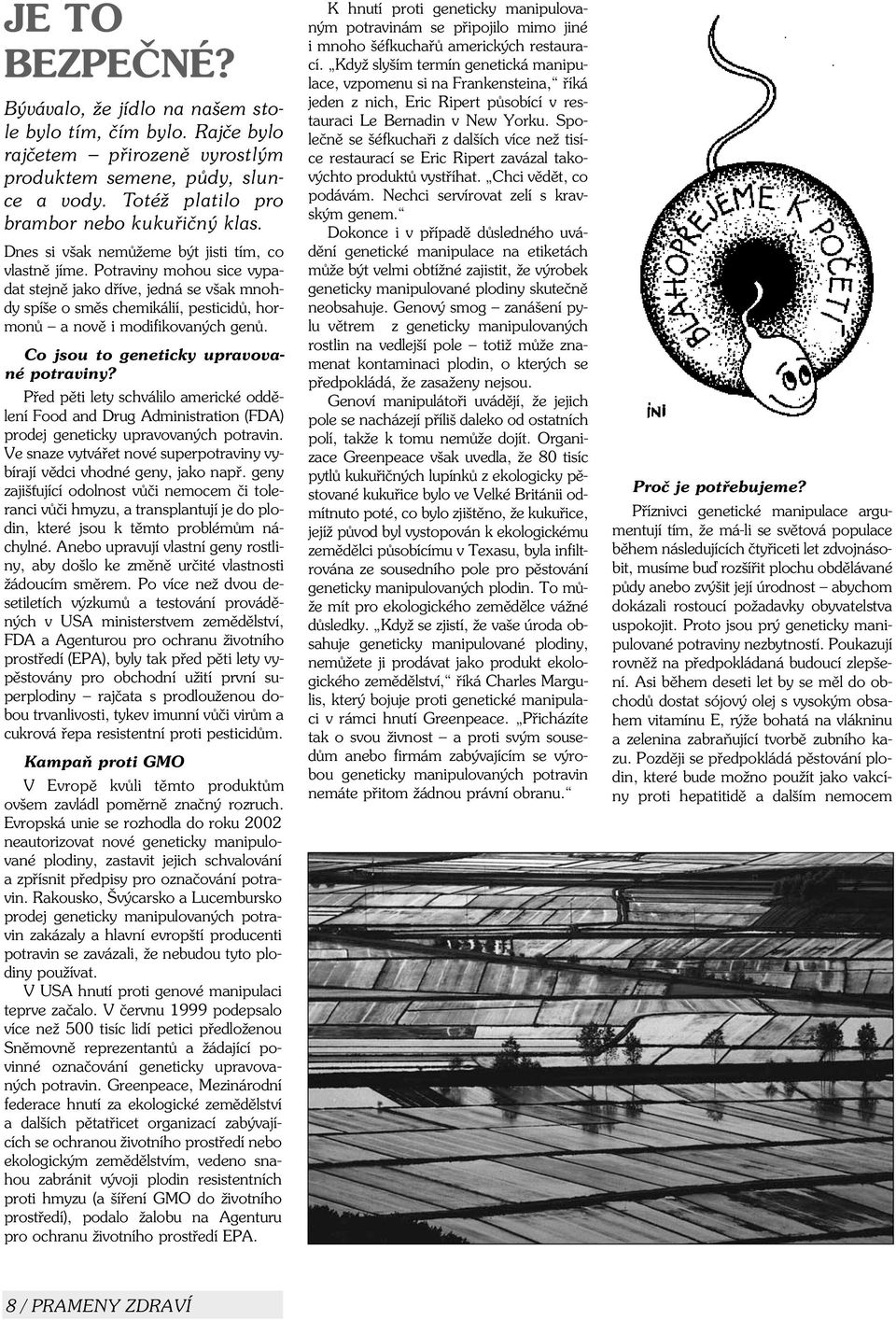 Co jsou to geneticky upravované potraviny? Pøed pìti lety schválilo americké oddìlení Food and Drug Administration (FDA) prodej geneticky upravovaných potravin.