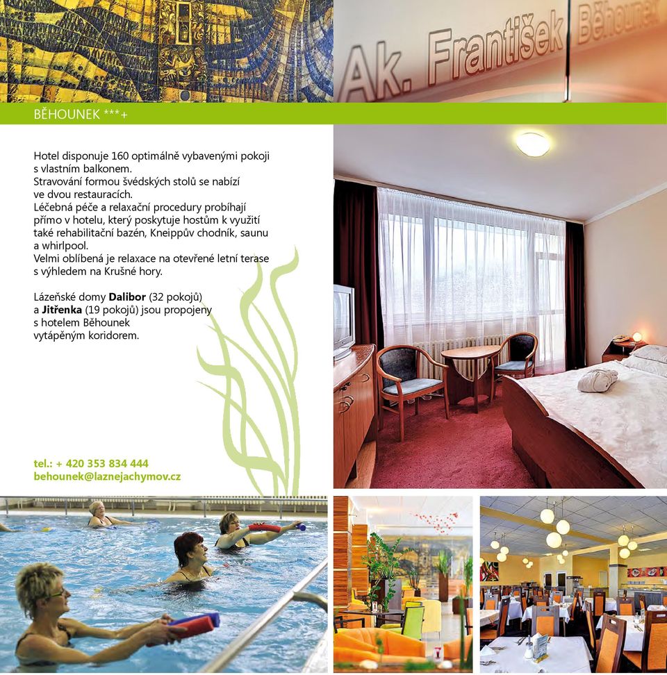 Léčebná péče a relaxační procedury probíhají přímo v hotelu, který poskytuje hostům k využití také rehabilitační bazén, Kneippův