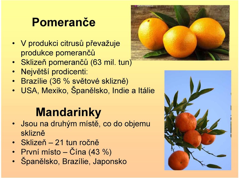 tun) Největší prodicenti: Brazílie (36 % světové sklizně) USA, Mexiko,