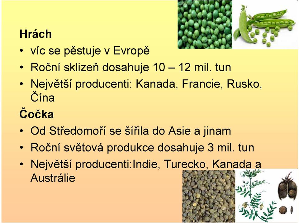 Středomoří se šířila do Asie a jinam Roční světová produkce