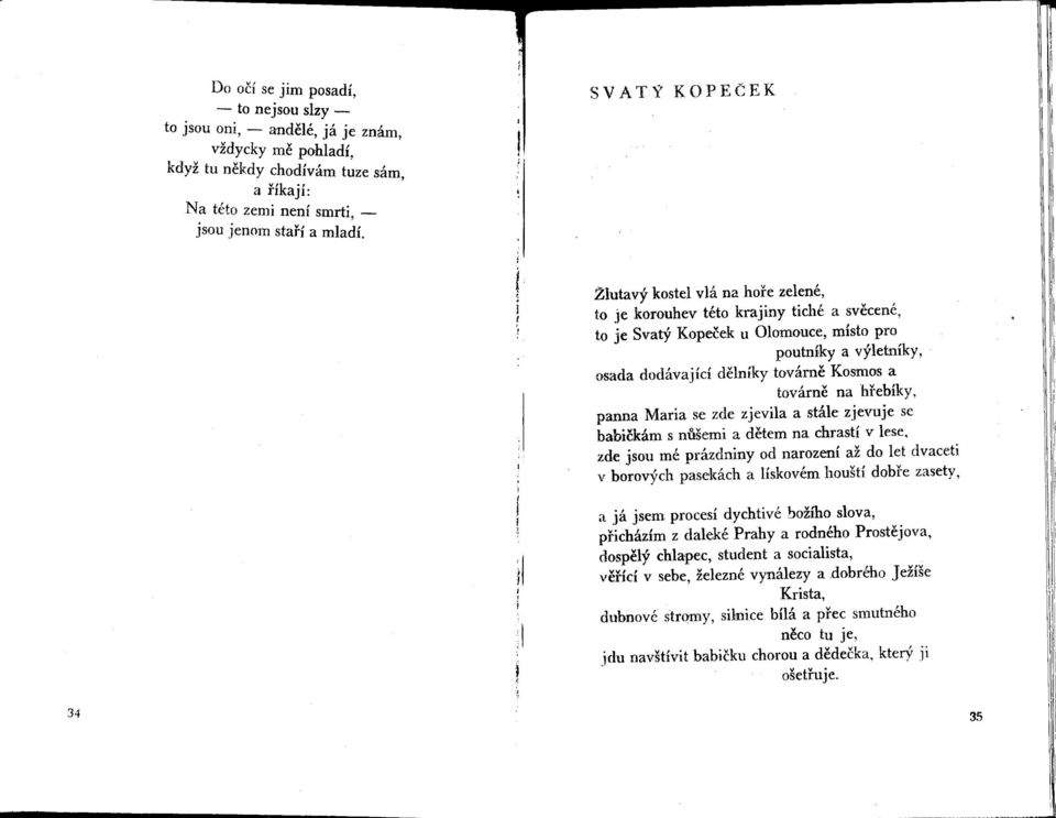 a továrne na hrebíky, panna Maria se zde zjevila a stále zjevuje se babickám s nušemi a detem na chrastí v lese, zde jsou mé prázdniny od narození až do let dvaceti v borových pasekách a lískovém