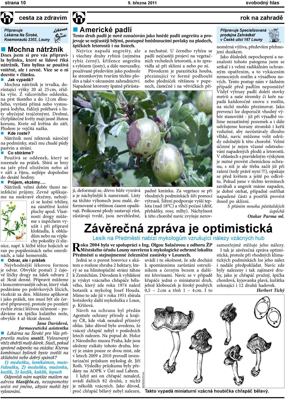 Z válcovitého oddenku, na prst tlustého a do 12 cm dlouhého, vyrůstá přímá nebo vystoupavá lodyha, řidčeji poléhavá s listy obyčejně trojčetnými. Drobné, čtyřplátečné květy mají jasně žlutou korunu.