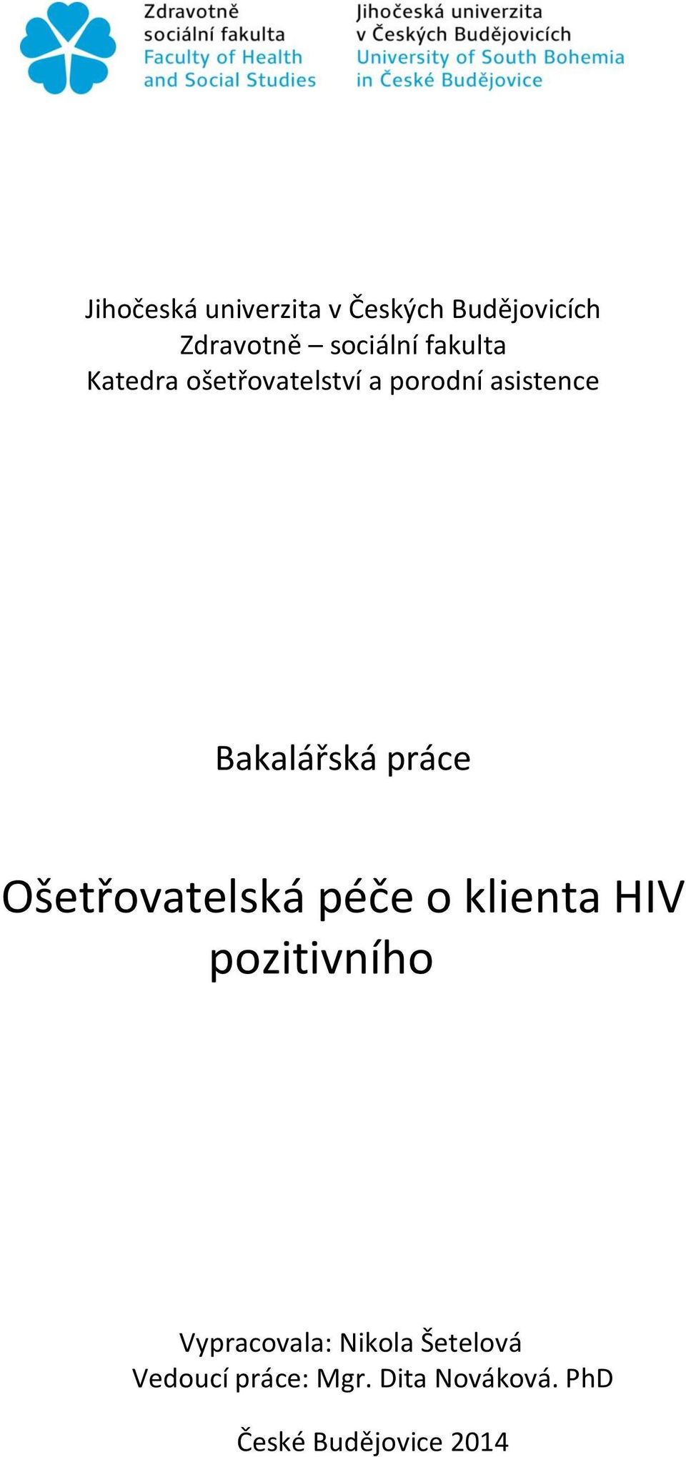 práce Ošetřovatelská péče o klienta HIV pozitivního Vypracovala: